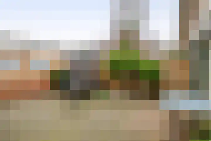 Fabiushof 12 Eindhoven thumbnail 30