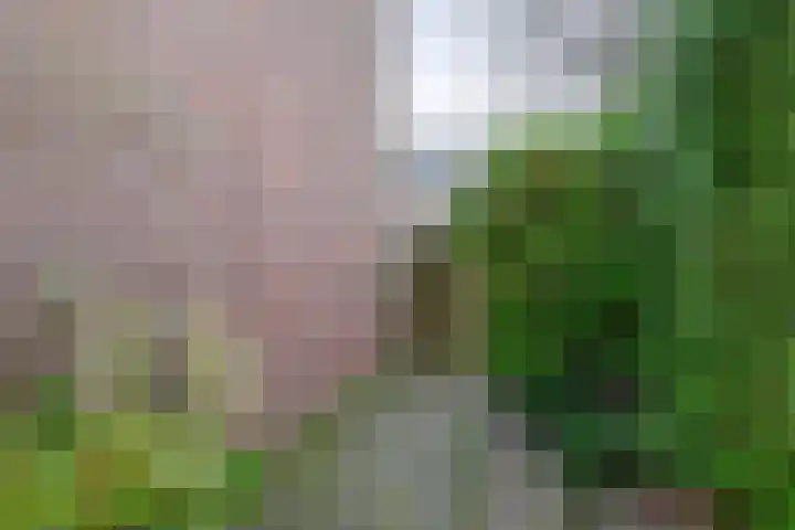 Fabiushof 12 Eindhoven thumbnail 33