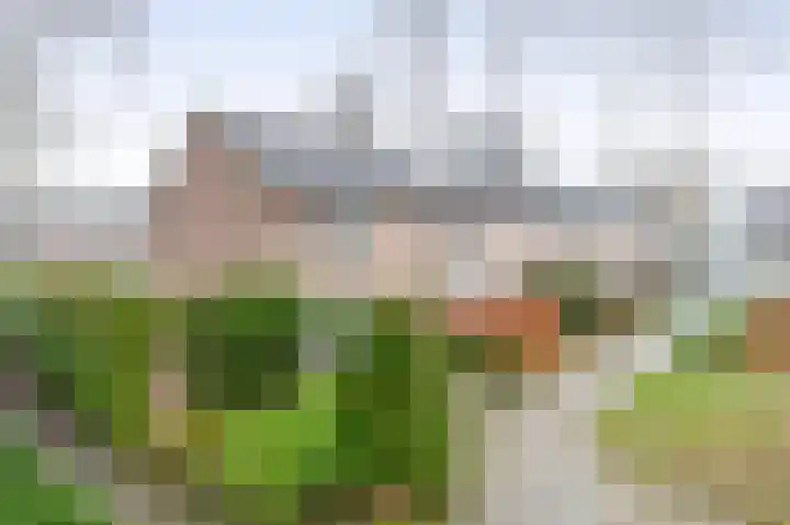 Fabiushof 12 Eindhoven thumbnail 35