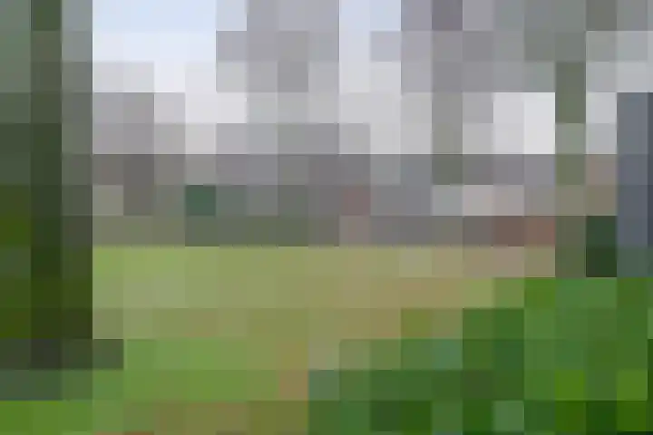 Fabiushof 12 Eindhoven thumbnail 39