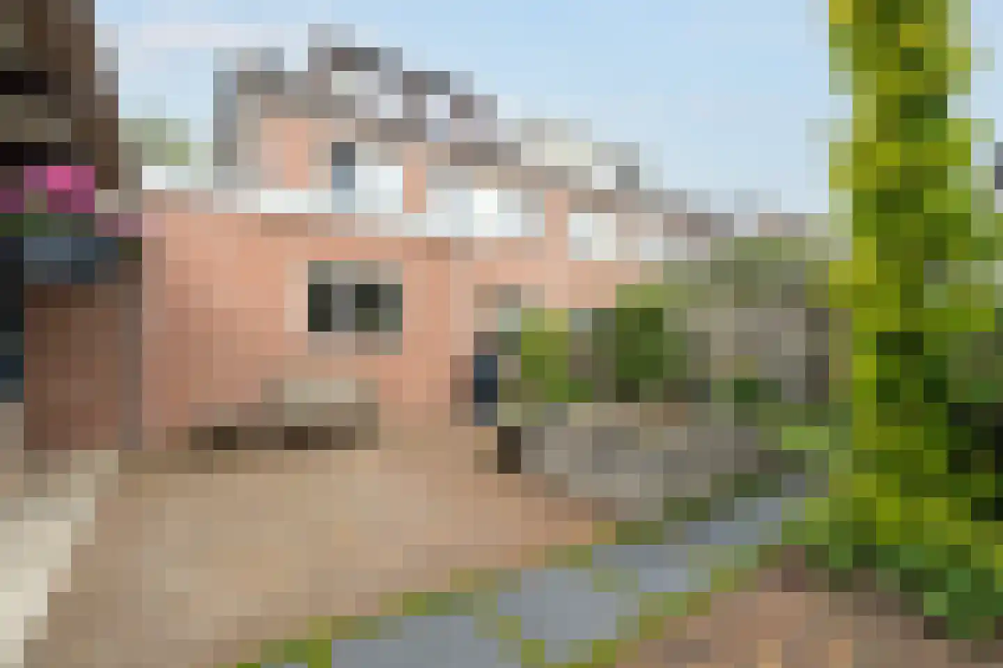 Fabiushof 2 Dalfsen thumbnail 32