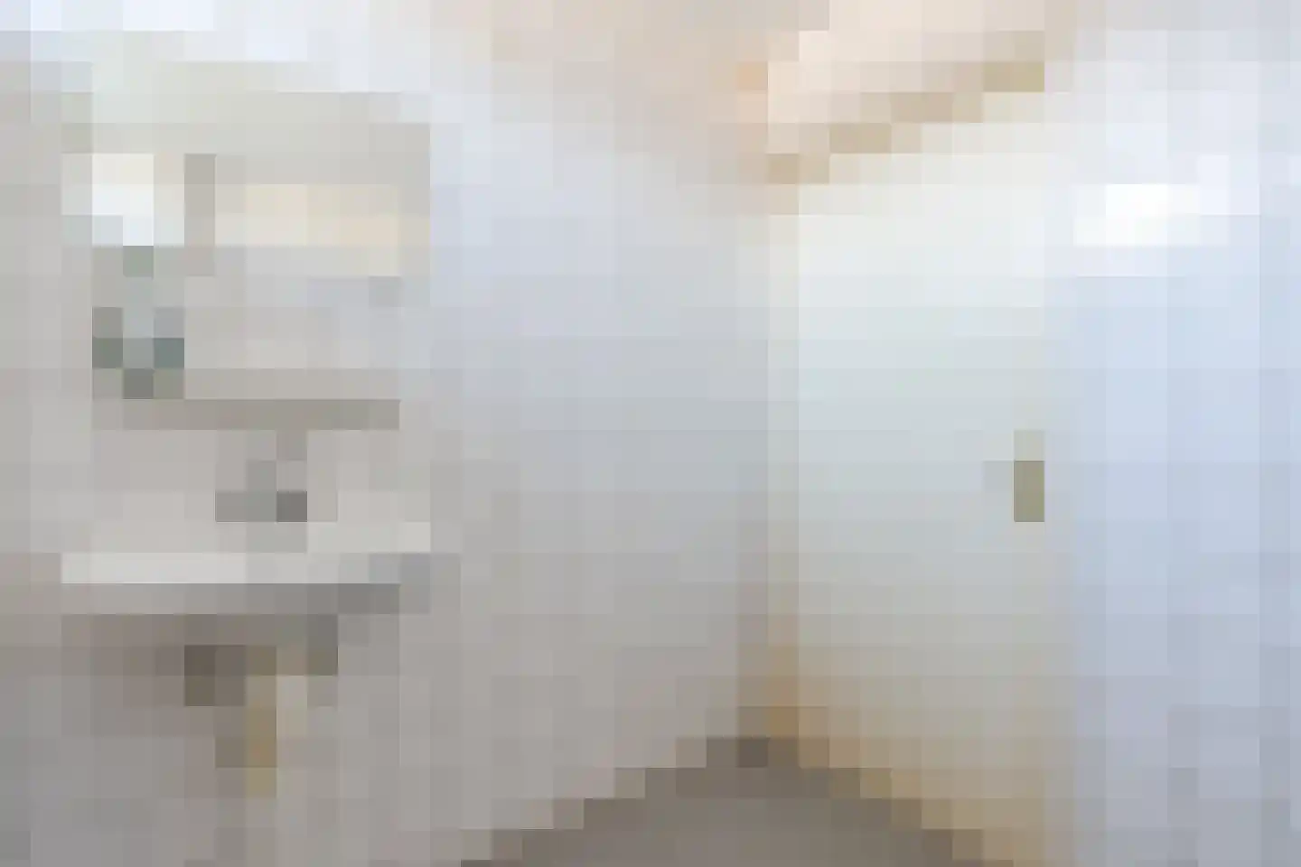 Fabiushof 36 Dalfsen thumbnail 23