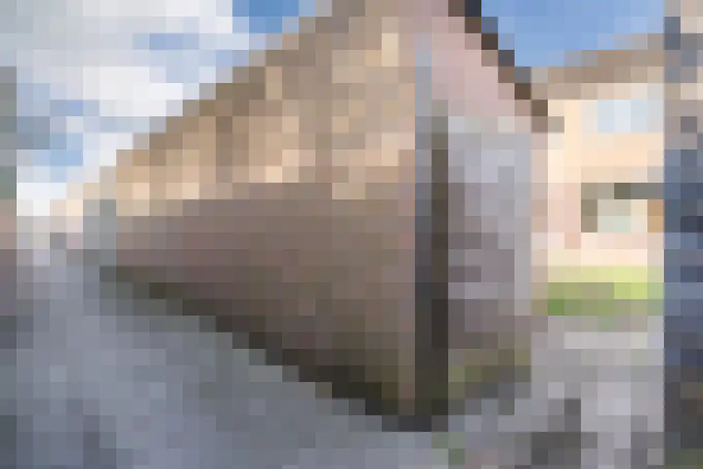 Fabiushof 36 Dalfsen thumbnail 35