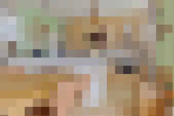 Fabiusstraat 18 Melissant thumbnail 10