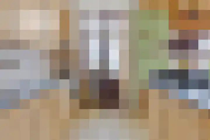 Fabiusstraat 18 Melissant thumbnail 13