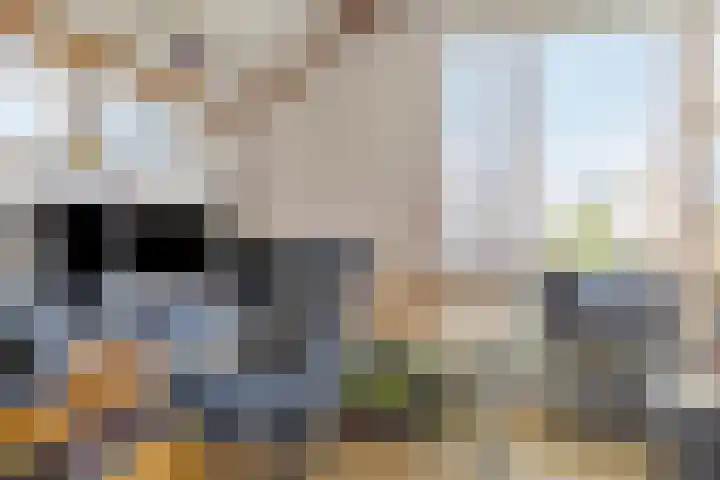 Fabiusstraat 18 Melissant thumbnail 24