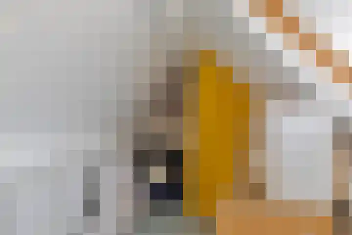 Fabiusstraat 18 Melissant thumbnail 27