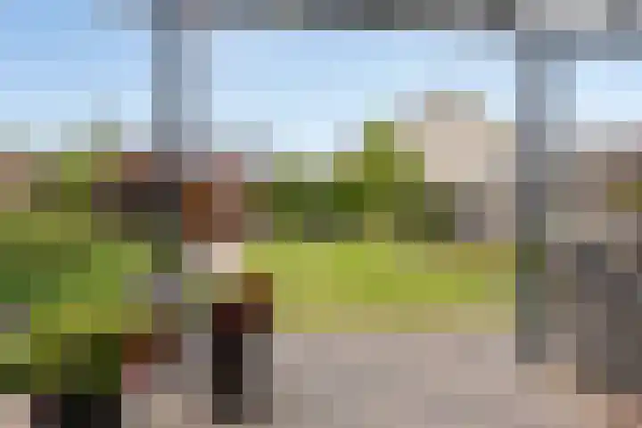 Fabiusstraat 18 Melissant thumbnail 28