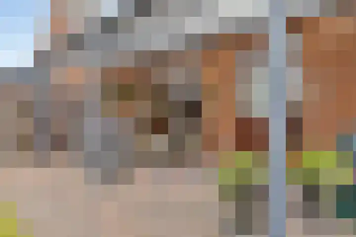 Fabiusstraat 18 Melissant thumbnail 29