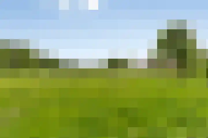 Fabiusstraat 18 Melissant thumbnail 31