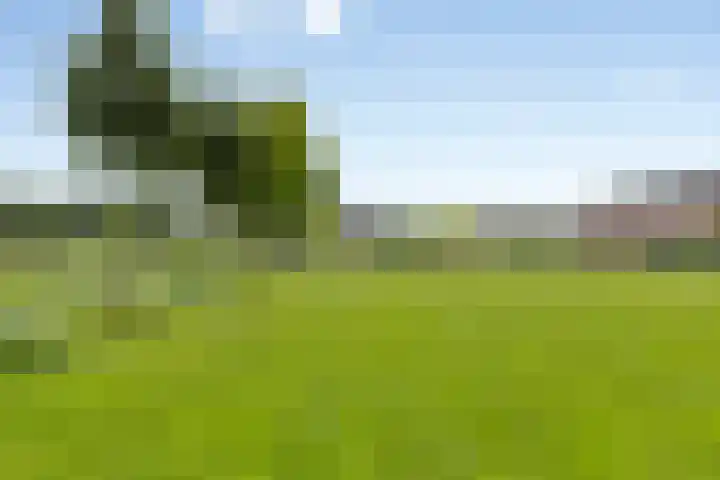 Fabiusstraat 18 Melissant thumbnail 32