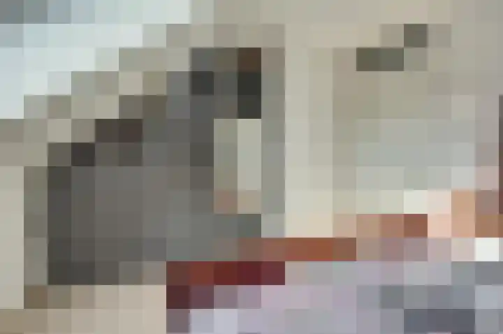 Fabiusstraat 22 b Melissant thumbnail 17