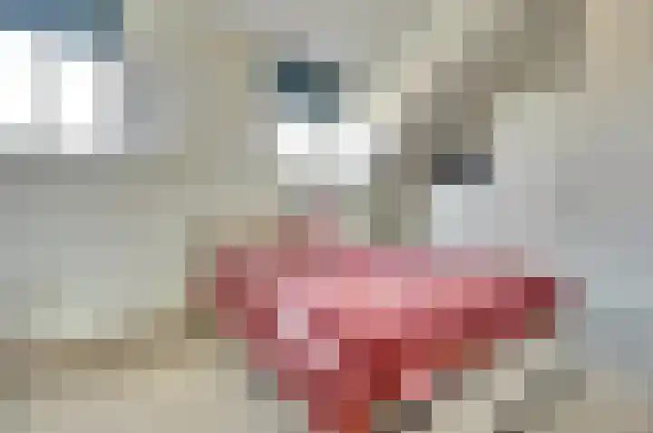 Fabiusstraat 22 b Melissant thumbnail 18