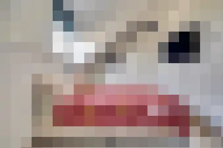 Fabiusstraat 22 b Melissant thumbnail 19