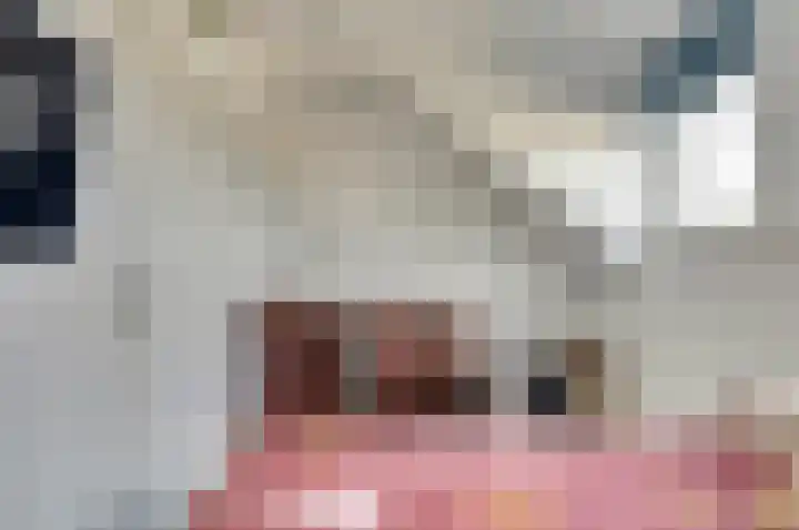 Fabiusstraat 22 b Melissant thumbnail 20
