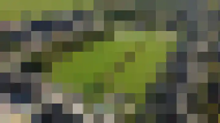 Fabiusstraat 22 b Melissant thumbnail 26
