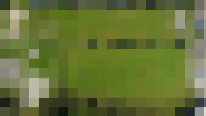 Fabiusstraat 22 b Melissant thumbnail 27