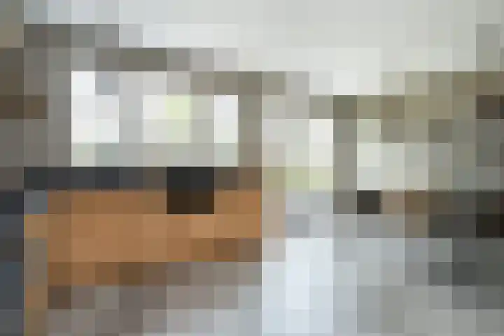 Fabiusstraat 36 Melissant thumbnail 12
