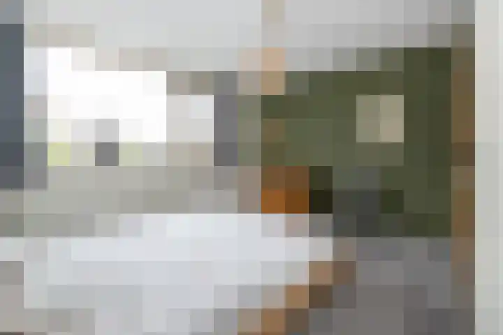 Fabiusstraat 36 Melissant thumbnail 17