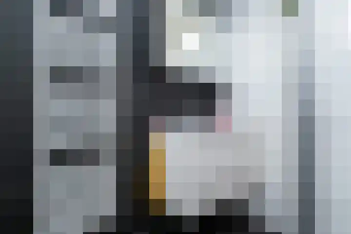 Fabiusstraat 36 Melissant thumbnail 21