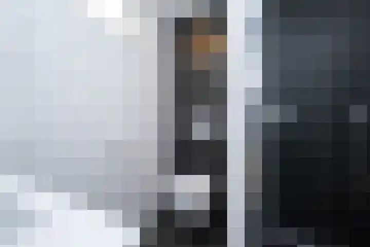 Fabiusstraat 36 Melissant thumbnail 22