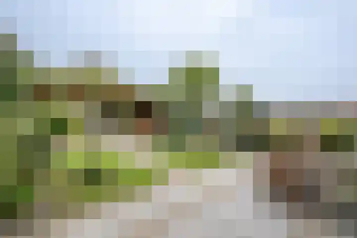 Fabiusstraat 36 Melissant thumbnail 26