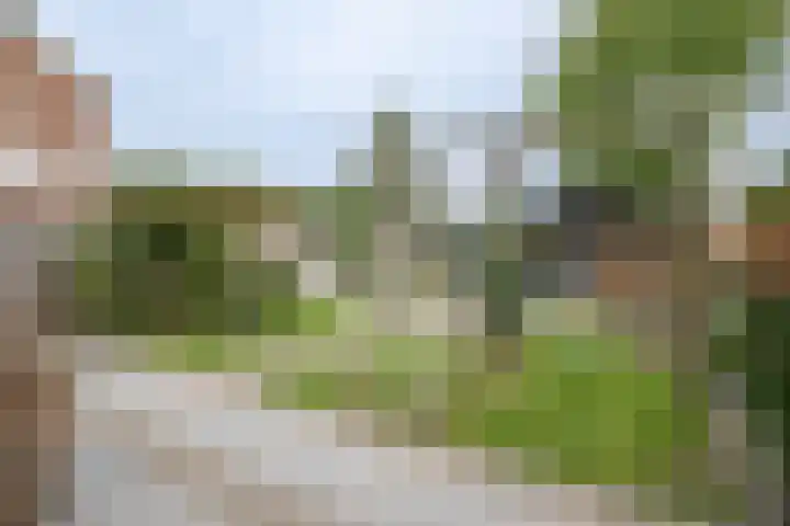 Fabiusstraat 36 Melissant thumbnail 28