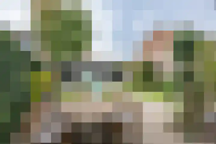 Fabiusstraat 36 Melissant thumbnail 29