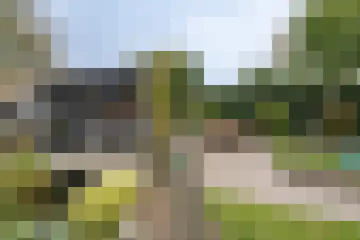 Fabiusstraat 36 Melissant thumbnail 31
