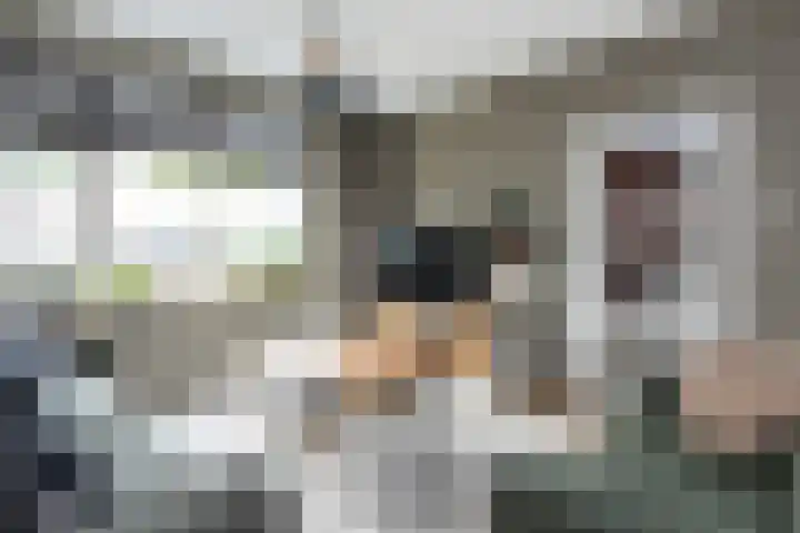 Fabiusstraat 36 Melissant thumbnail 8