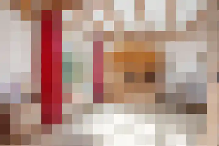 Fabiusstraat 5 Heino thumbnail 13