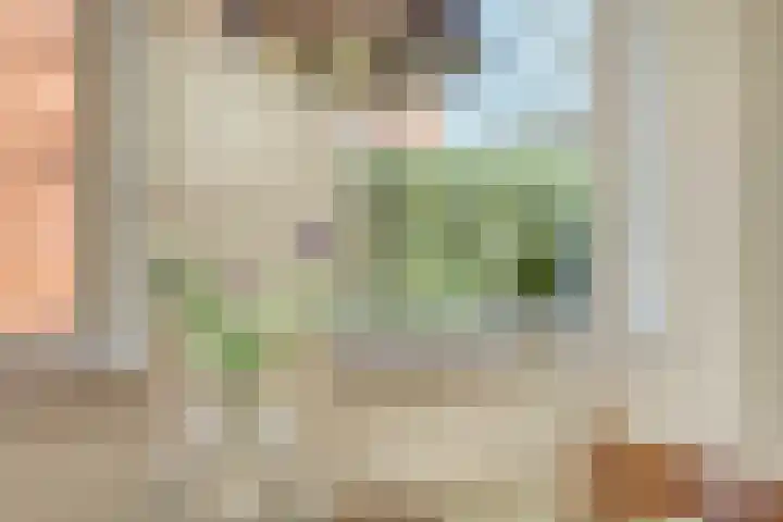Fabiusstraat 5 Heino thumbnail 15