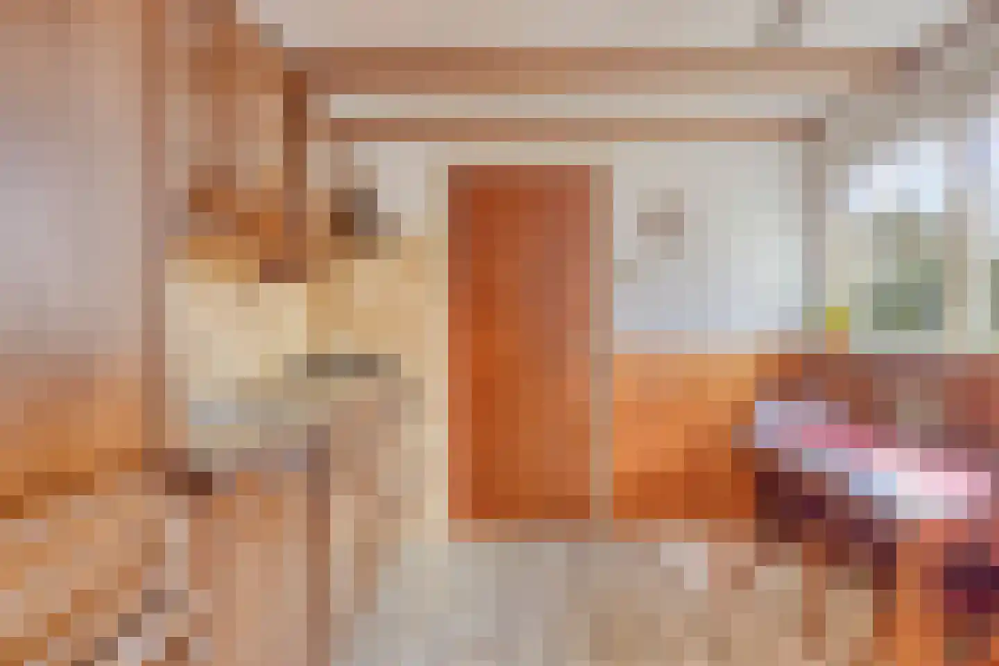 Fabiusstraat 5 Heino thumbnail 17