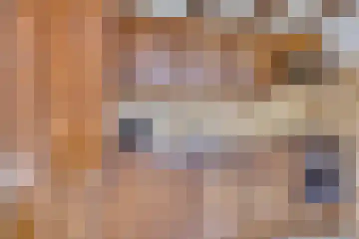 Fabiusstraat 5 Heino thumbnail 18