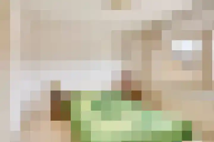 Fabiusstraat 5 Heino thumbnail 23