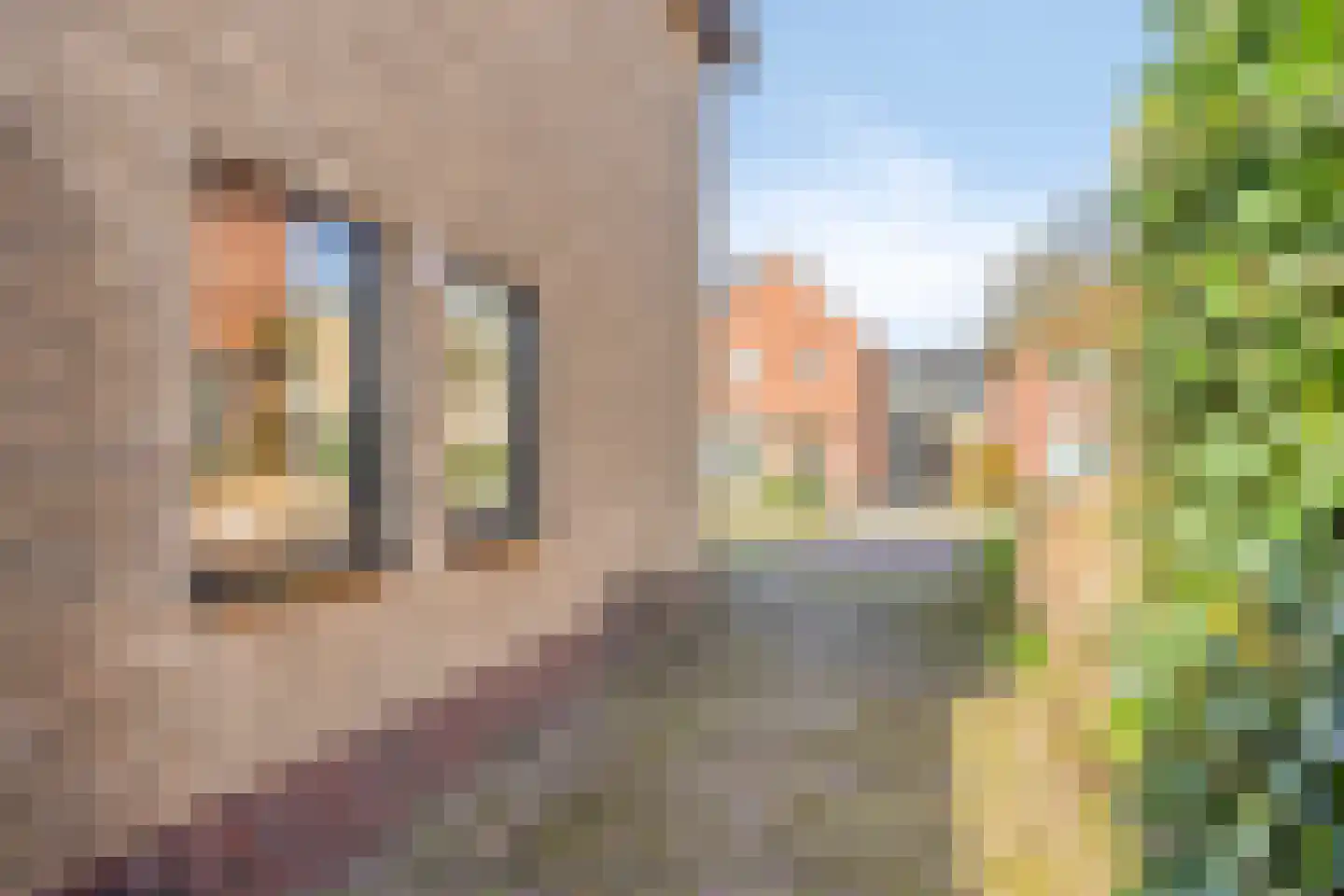 Fabiusstraat 5 Heino thumbnail 4