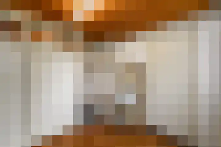 Fabriciuslaan 2 Drachten thumbnail 12