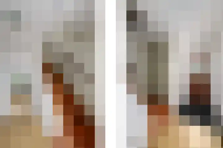 Fabriciuslaan 2 Drachten thumbnail 17