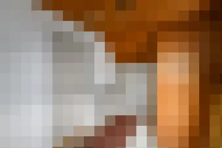Fabriciuslaan 2 Drachten thumbnail 31