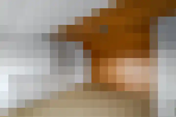 Fabriciuslaan 2 Drachten thumbnail 32