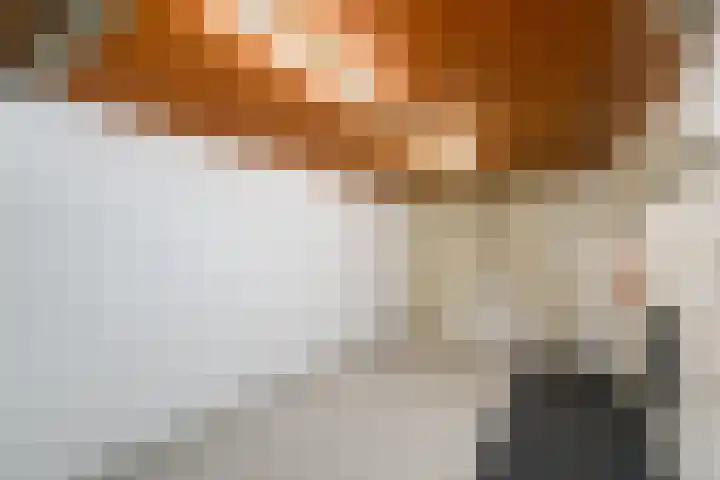 Fabriciuslaan 2 Drachten thumbnail 35
