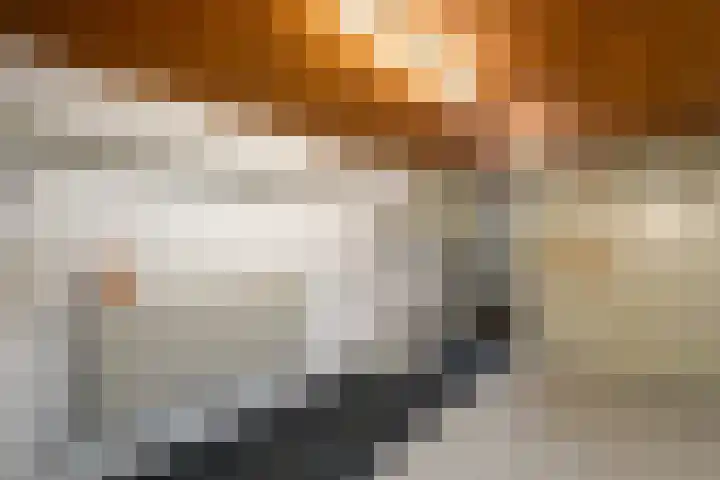 Fabriciuslaan 2 Drachten thumbnail 36