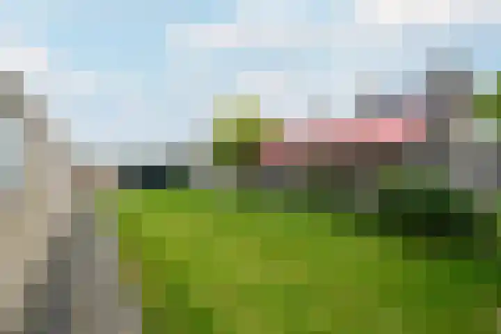 Fabriciuslaan 2 Drachten thumbnail 38