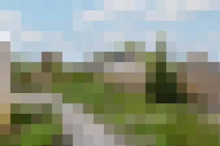 Fabriciuslaan 2 Drachten thumbnail 42