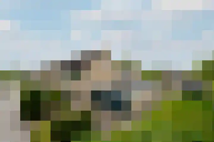 Fabriciuslaan 2 Drachten thumbnail 49
