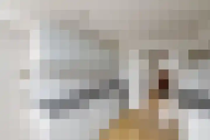 Fabriciuslaan 2 Drachten thumbnail 9