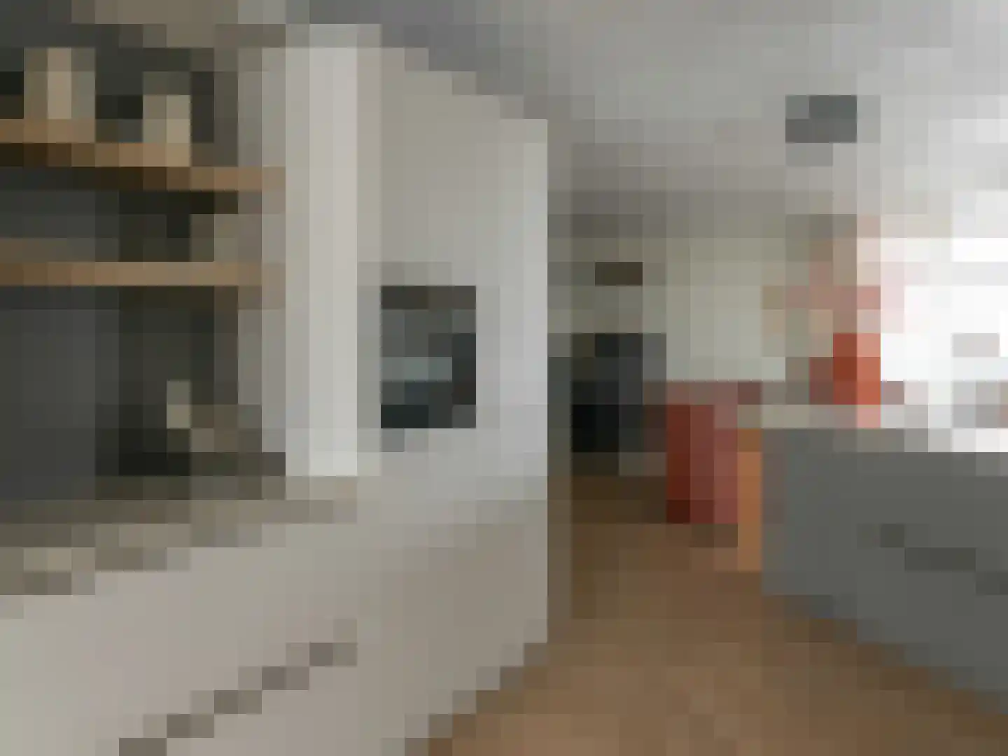 Fabriciuslaan 3 8 Drachten thumbnail 21