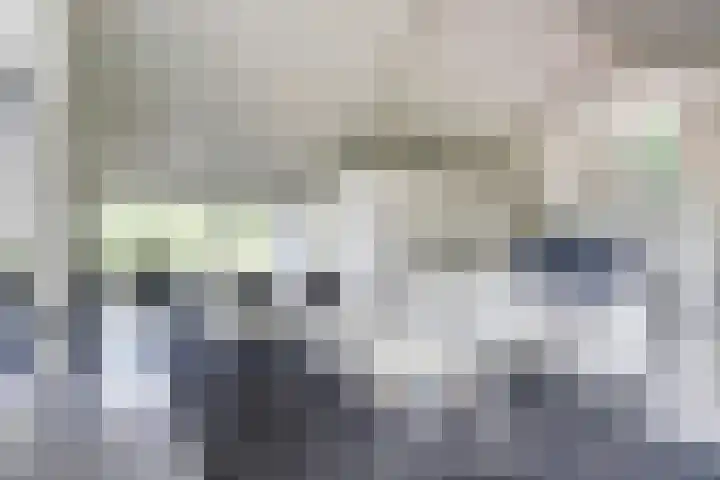 Fabriciuslaan 60 Drachten thumbnail 10