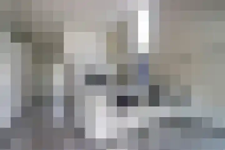 Fabriciuslaan 60 Drachten thumbnail 15