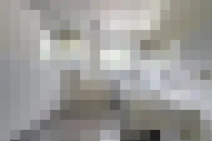 Fabriciuslaan 60 Drachten thumbnail 30